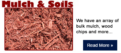 mulch