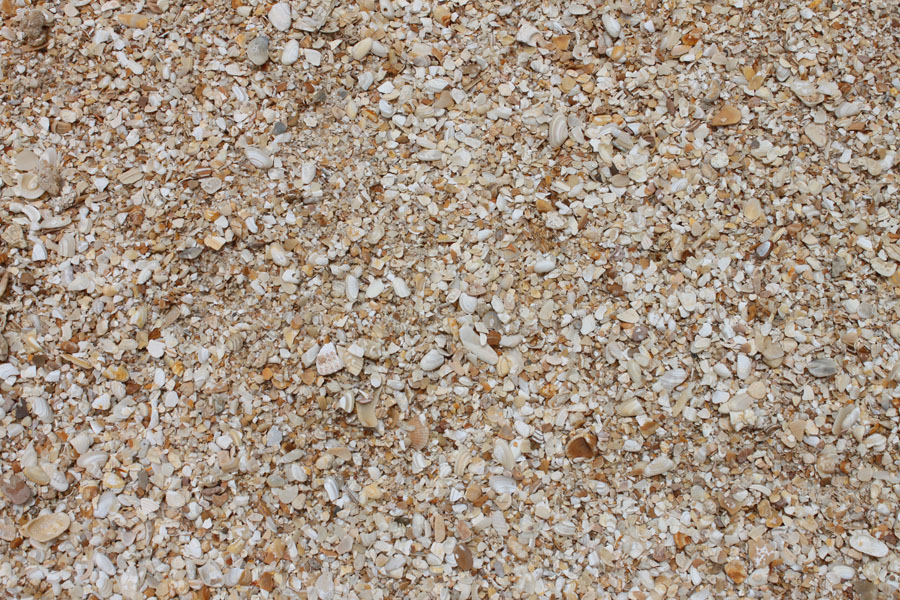 Crushed coquina at the West Volusia Shed Co. yard in DeLand, FL