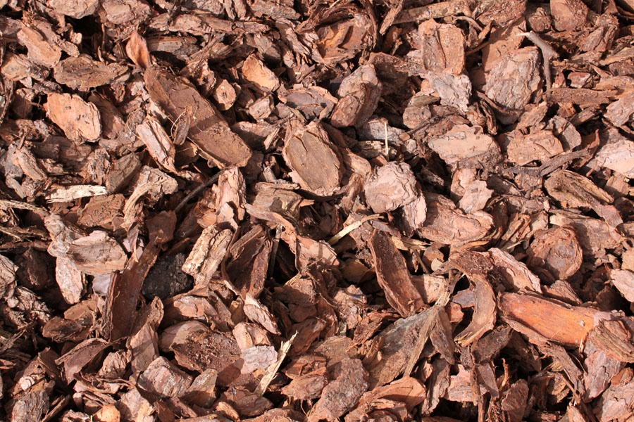 Large pine bark mulch