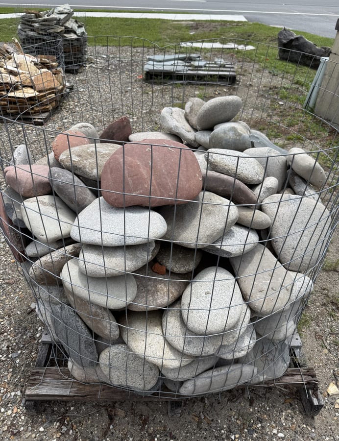 Coquina rock & river flats at the West Volusia Shed Co. yard in DeLand, FL